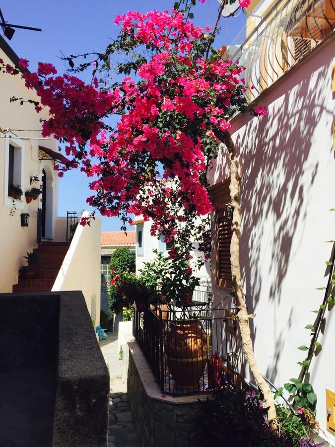 La Casa Di Ivana San Nicola Arcella Eksteriør bilde